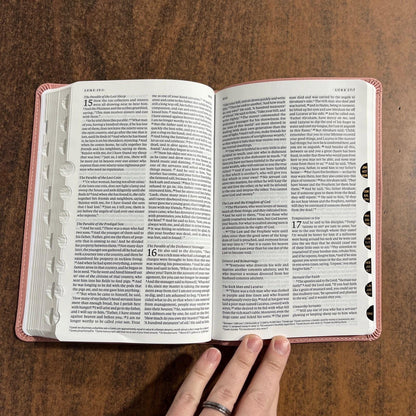 Personalized ESV Thinline Bible Thumb Indexed - Blush Rose (Pink) Cover - Custom Imprinted with a name - 9798874904333 - 2025 text