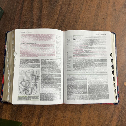 Personalized NLT Life Application Study Bible Thumb Indexed -Pink Evening Bloom LeatherLike - Custom Imprinted with name, 9781496478993