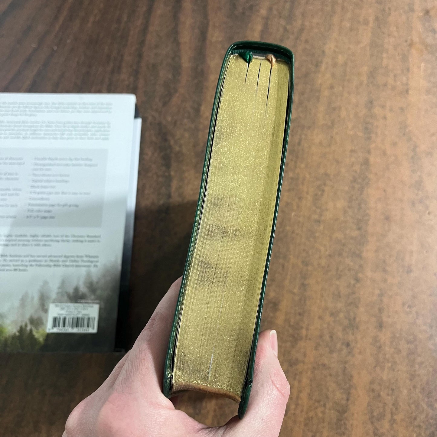 Personalized Mens Bible, CSB Men of Character Study Bible Thumb Indexed, Green LeatherTouch, Custom Imprinted engraved
