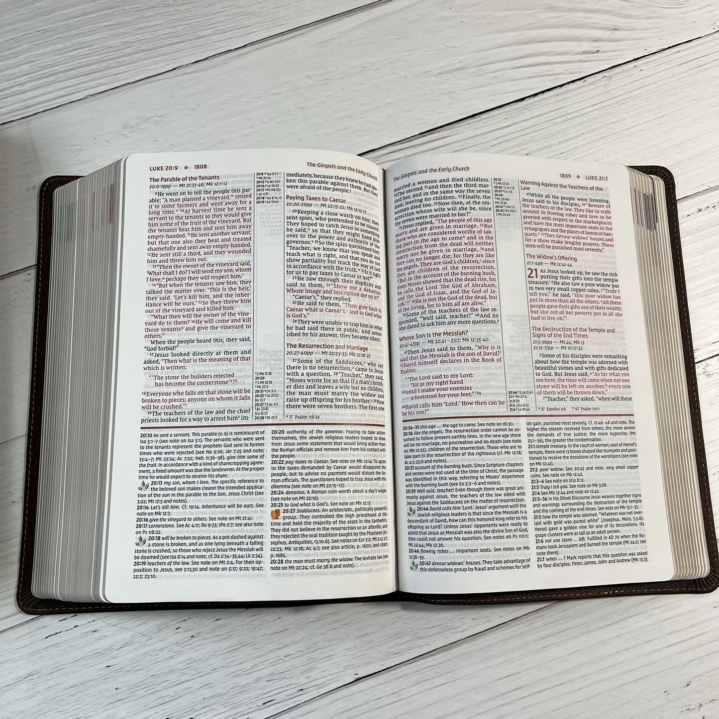 Personalized NIV Study Bible - Brown Genuine Calfskin Leather - Custom imprinted with a name, 9780310465805