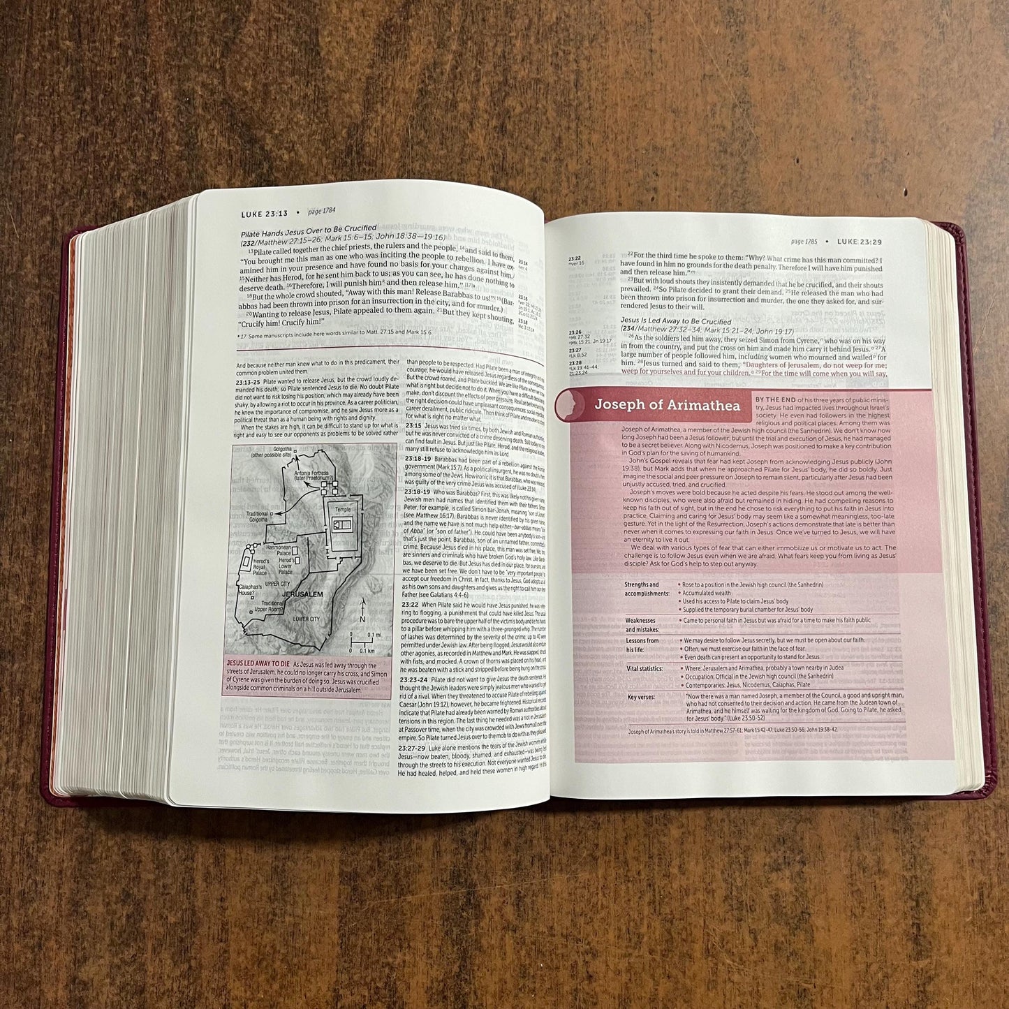 Personalized NIV Life Application Study Bible - Berry LeatherLike - Custom Imprinted with a name, 9781496455246