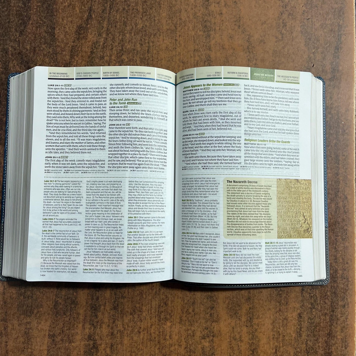 Personalized KJV Chronological Life Application Study Bible -  Palm Forest Blue LeatherLike - Custom Imprinted name engraved 9781496489579