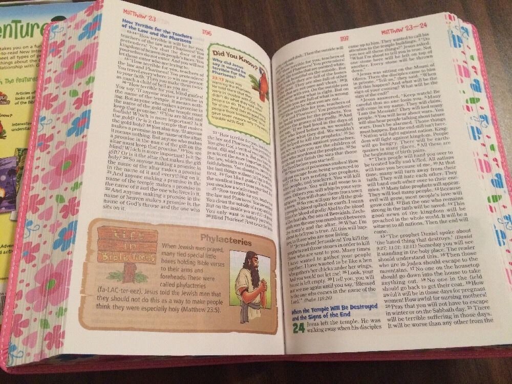 Personalized NIRV Adventure Bible For Early Readers - Hot Pink Duotone - Custom Imprinted with name, Ages 6-10, ISBN 9780310745204