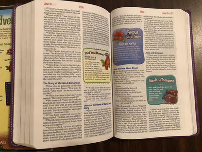 Personalized NIRV Adventure Bible For Early Readers - Purple Duotone  - Custom Imprinted with a name - Ages 6-10, 9780310727446