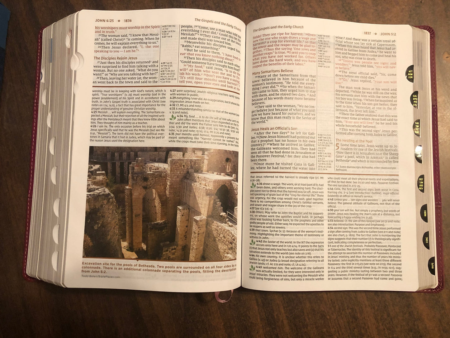 Personalized NIV Large Print Study Bible Thumb Indexed with Book Tabs - Burgundy LeatherSoft,  Custom Imprinted with name, 9780310449225