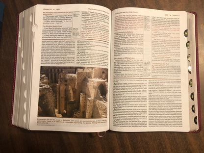 Personalized NIV Large Print Study Bible Thumb Indexed with Book Tabs - Burgundy LeatherSoft,  Custom Imprinted with name, 9780310449225