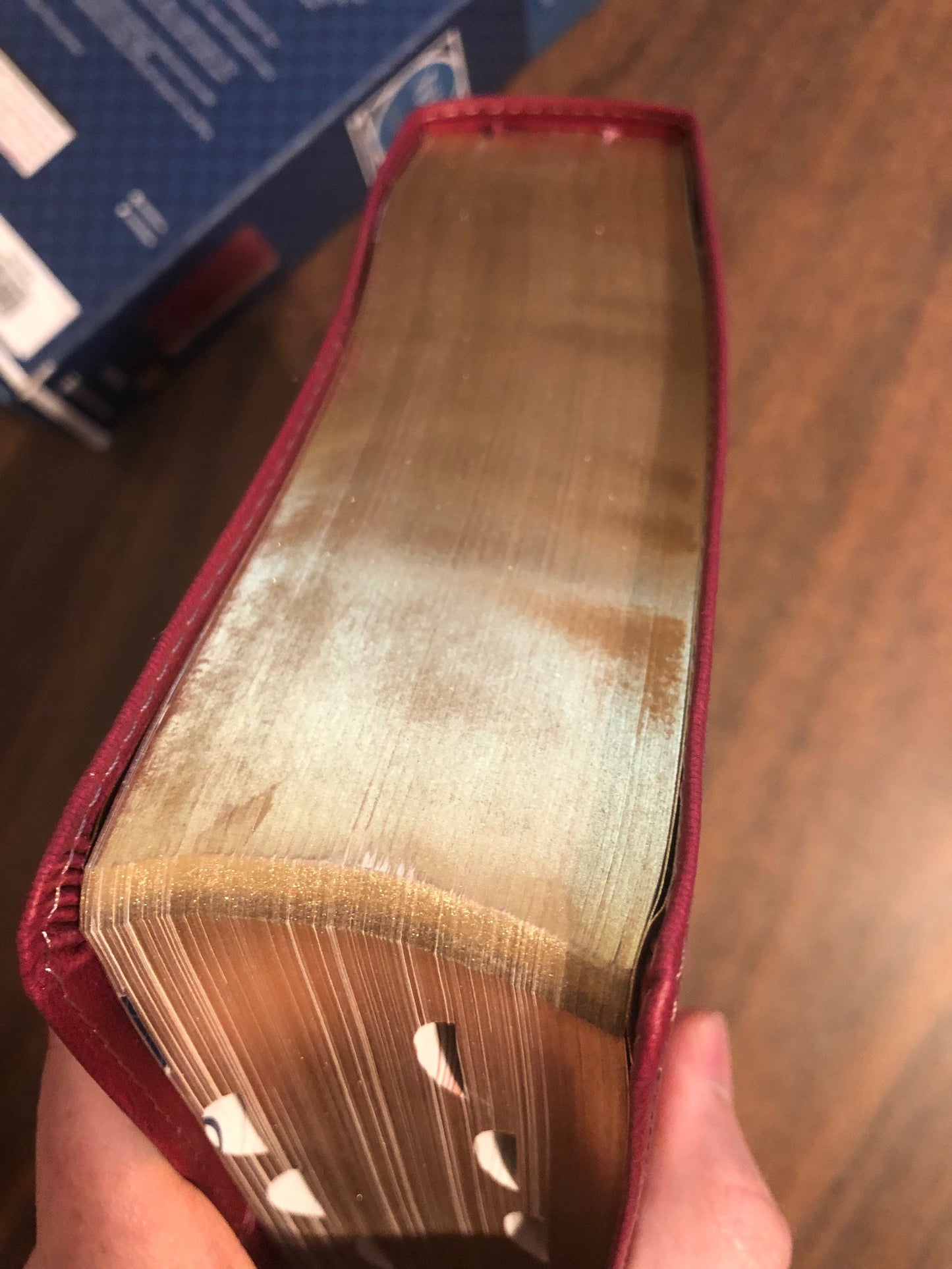 Personalized NIV Large Print Study Bible Thumb Indexed with Book Tabs - Burgundy LeatherSoft,  Custom Imprinted with name, 9780310449225