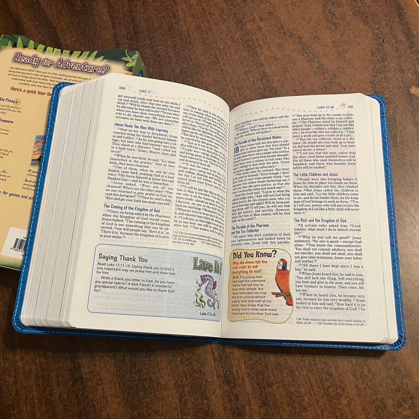 Personalized NIV Adventure Bible - Blue LeatherSoft - Custom Imprinted with name, 9780310458227