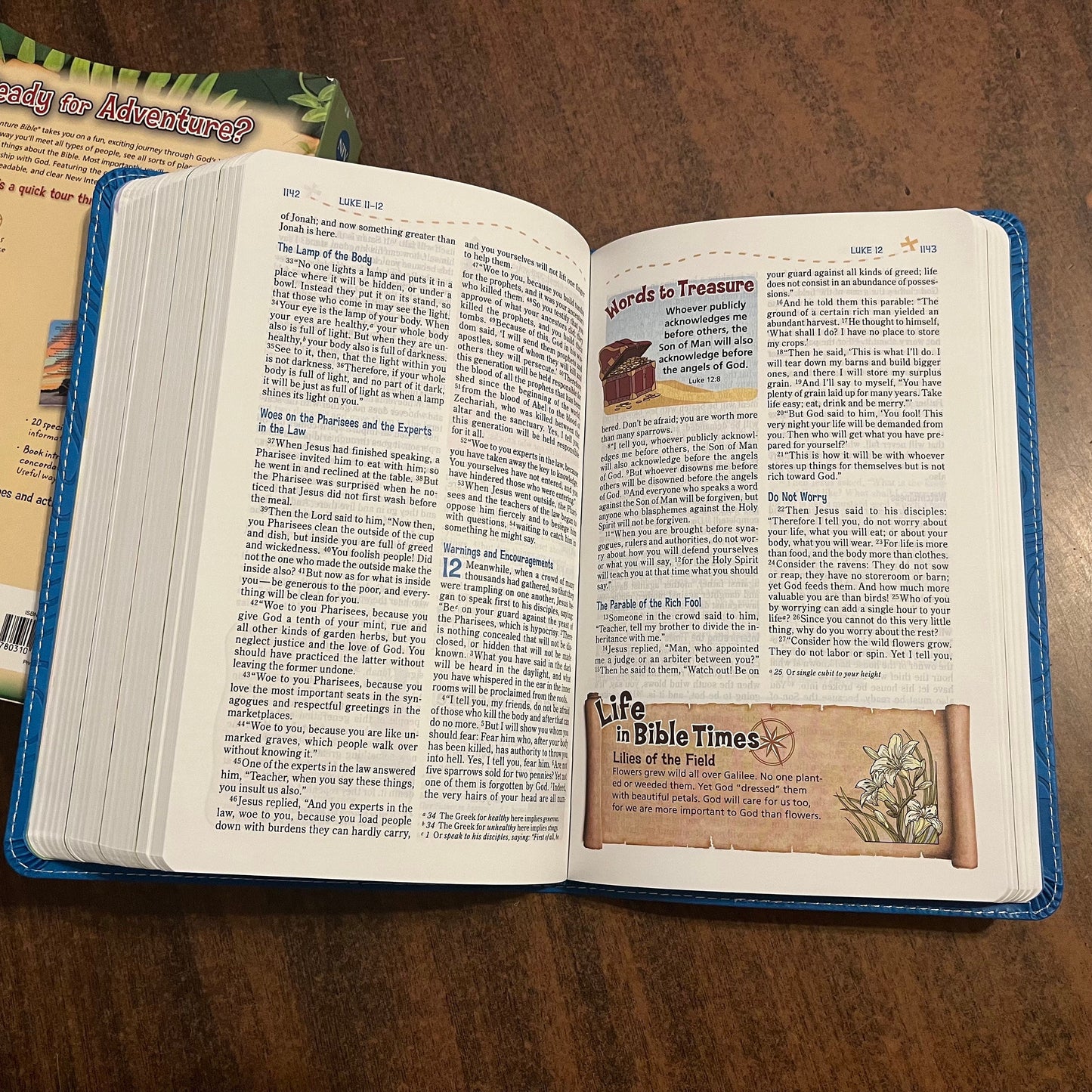 Personalized NIV Adventure Bible - Blue LeatherSoft - Custom Imprinted with name, 9780310458227