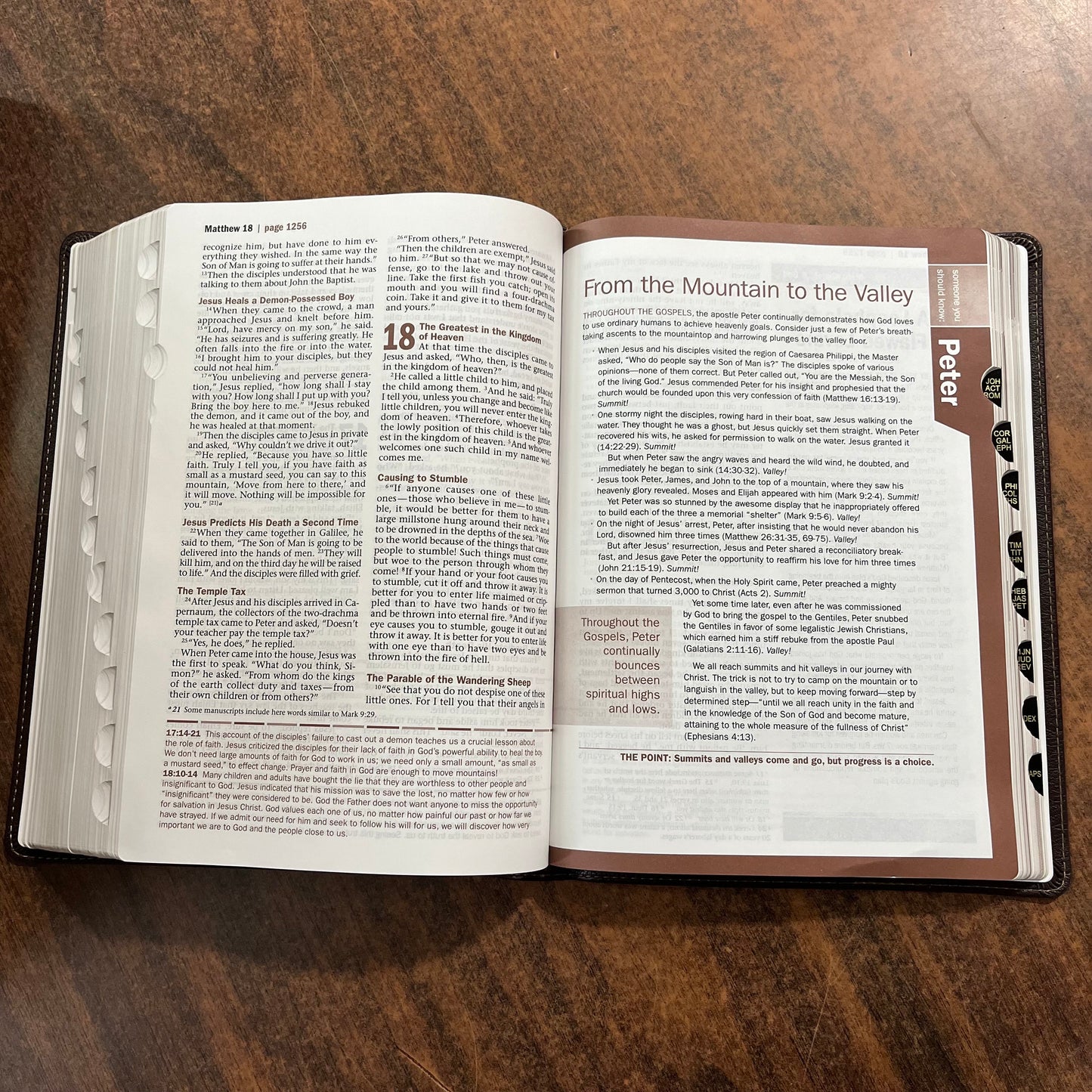 Personalized NIV Large Print Every Mans Devotional Bible Thumb Indexed - Brown TuTone - Custom Imprinted, name engraved mens bible