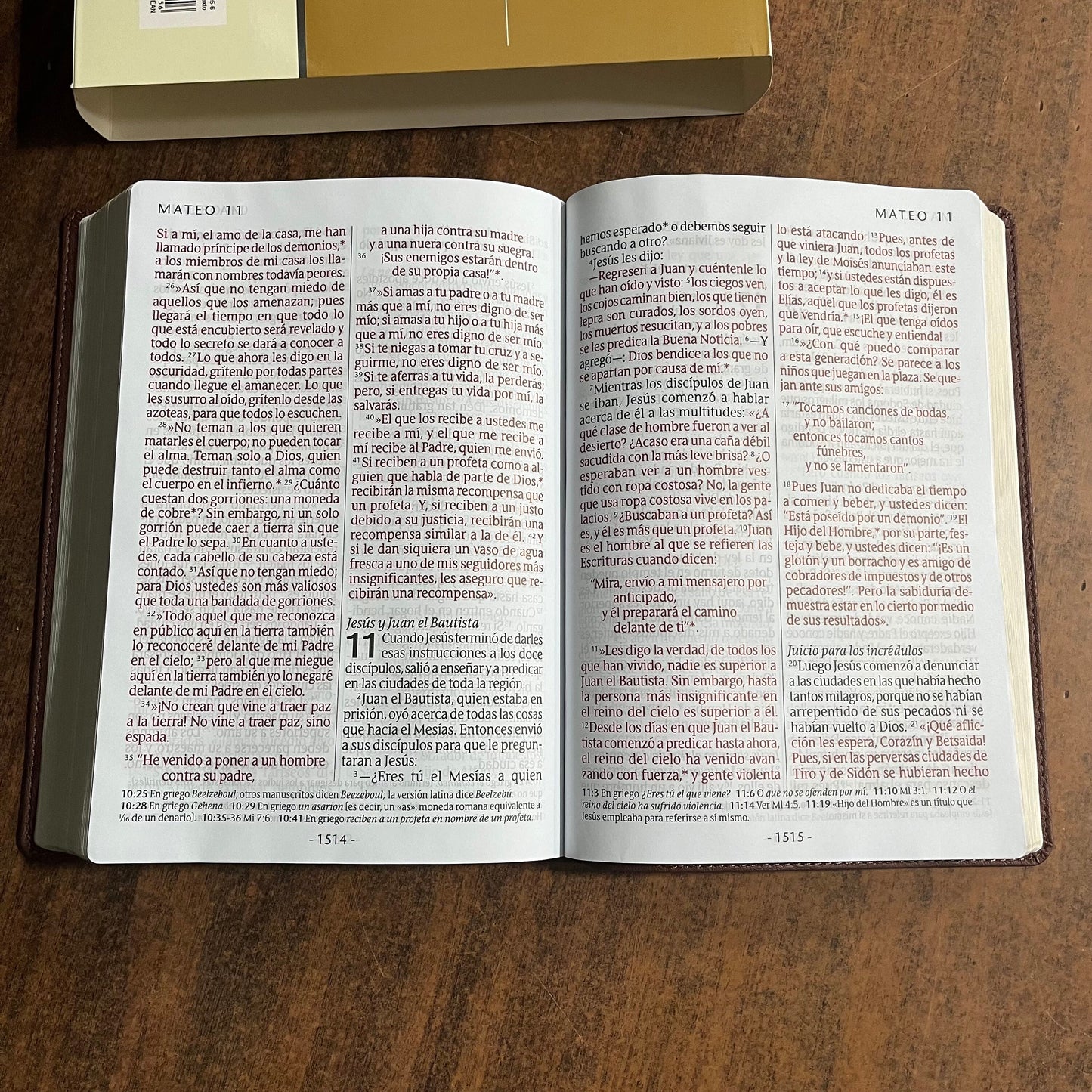 Personalized Spanish Bible - NTV Biblia Letra Super Gigante - Giant Print Bible - Dark Brown LeatherLike -  Custom Imprinted with name 9781496484956