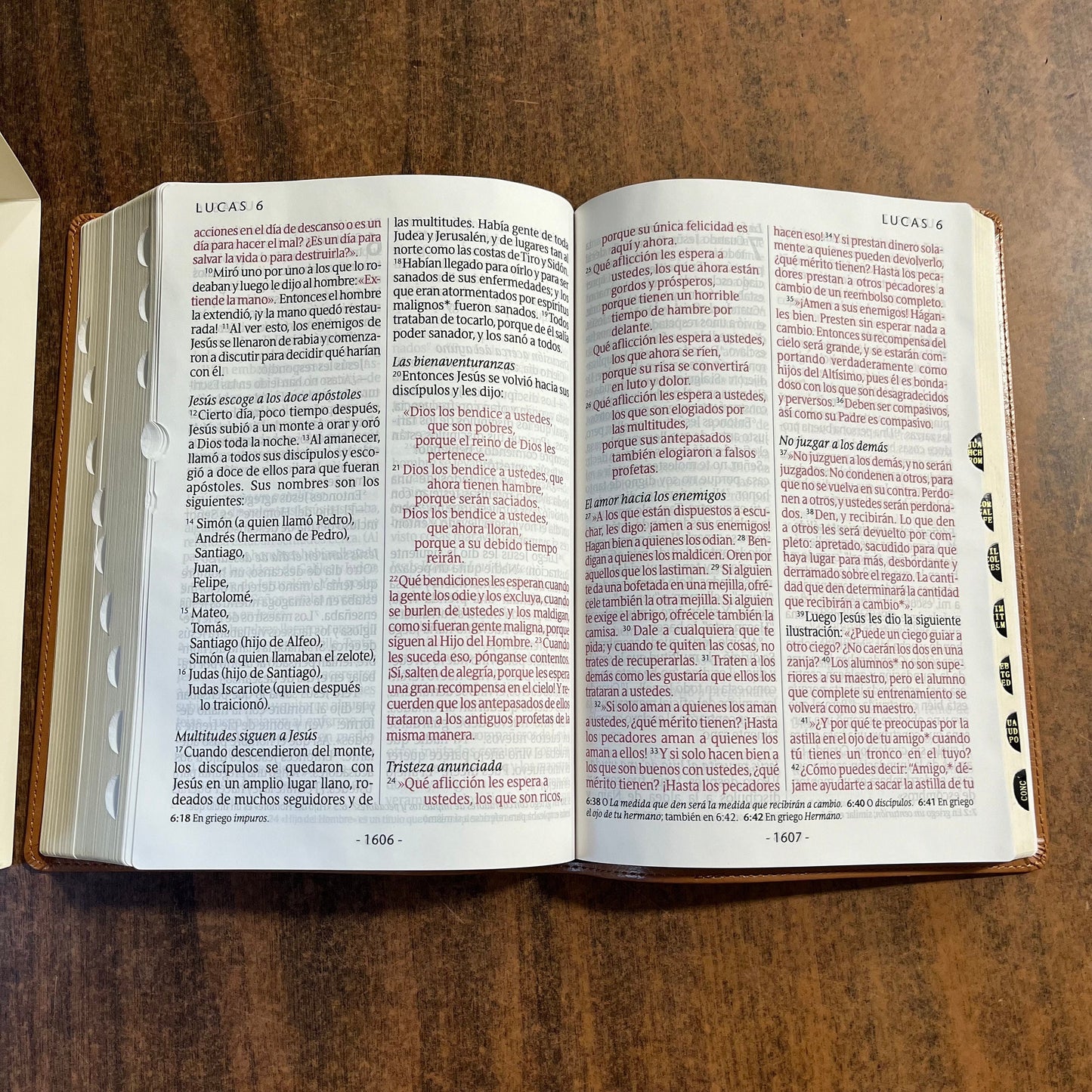 Personalized Spanish Bible Thumb Indexed - NTV Biblia Letra Super Gigante - Giant Print Bible - Light Brown LeatherLike -  Custom Imprinted 9781496450258