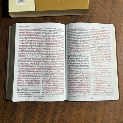 Personalized Spanish Bible - NTV Biblia Letra Super Gigante - Giant Print Bible - Dark Brown LeatherLike -  Custom Imprinted with name 9781496484956