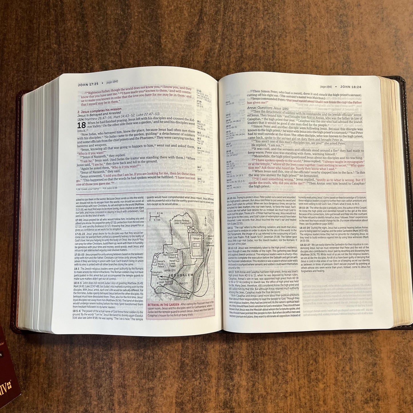 Personalized NIV Life Application Study Bible - Brown / Tan LeatherLike - Custom Imprinted with a name 9781496439475