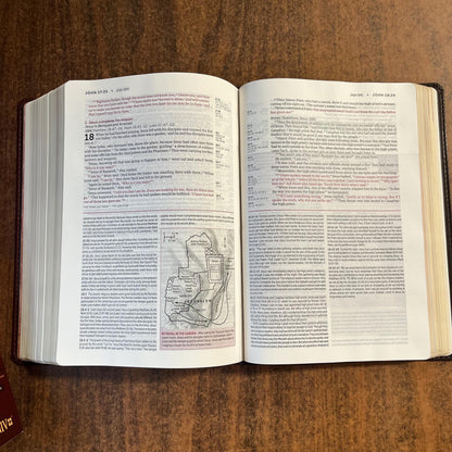 Personalized NIV Life Application Study Bible - Brown / Tan LeatherLike - Custom Imprinted with a name 9781496439475