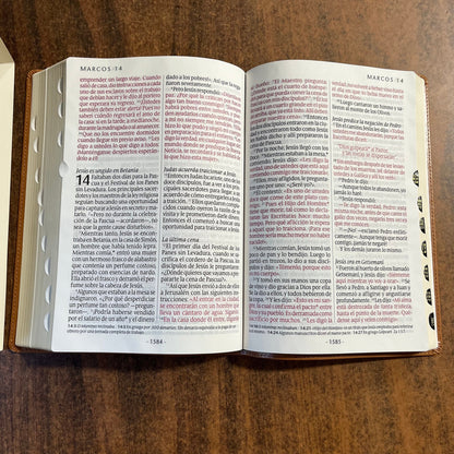 Personalized Spanish Bible Thumb Indexed - NTV Biblia Letra Super Gigante - Giant Print Bible - Light Brown LeatherLike -  Custom Imprinted 9781496450258